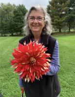 From the Ground Up: Greater Philadelphia Dahlia Society Show coming to Longwood Gardens