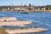 German companies warn of growing disruption as Rhine water levels fall to new lows