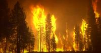California lawmakers join call for crackdown on wildfire betting