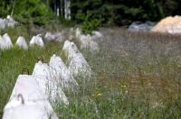 Lithuania builds new defence line along border with Russia and Belarus
