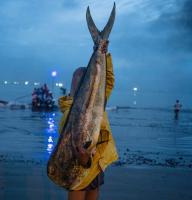 New Clues in Mystery Strikes on Ecuadorian Fishing Boats