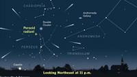 What time is the Perseid meteor shower in Mississippi tonight?
