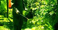 Farmer Horrified as AI Gives Bad Advice That Kills 25 Acres of Crops