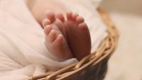 MP Kuzminykh proposes restricting certain assisted reproductive technology for foreigners