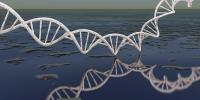Scientists Say Life on Earth May Have Begun Not Once, but Twice