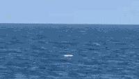 Ukraine pounds Black Sea Fleet’s ‘last major stronghold’ while Putin flexes naval power in Pacific