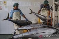 Indonesia proposes 63 fish processors for export to Türkiye