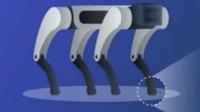 Developing Quieter, More Energy-Efficient Quadruped Robots