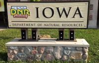 DNR sees increase in gizzard shad in Iowa Great Lakes