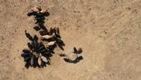 'Earth registers second-hottest July on record'