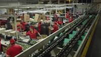 Mexico deploys troops to protect avocado hub as US halts exports