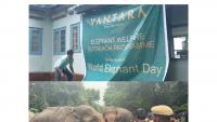 World Elephant Day: Anant Ambani's Vantara highlights its welfare work