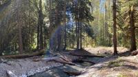 Growing hope: Q&A with Liz Hendriks, WWF-Canada’s head of restoration