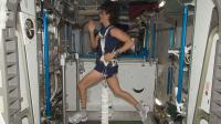 Space travel doesn’t affect the strength of heart muscle cells, study finds