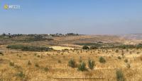 Israeli forces arrest man during incursion into Syria’s Daraa
