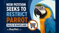 New Petition Seeks To Restrict The Retail Sale Of Parrots In Maryland