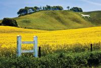 All the white horses - the history of Britain's chalk hillsides