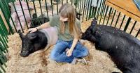 Green acres is the place to be: Nevada County Fair ready to showcase the best of local ag