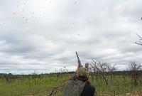 Here’s What I Learned by Firing 1,000 Rounds a Day on an Argentina Dove Hunt
