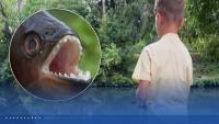 8-year-old reels in piranha at Pennsylvania lake: ‘It was pretty crazy’