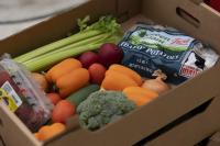 Chronic disease fells too many Kansans. Could Food is Medicine be a cure?