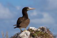 People asked to weigh in on proposed protected areas