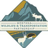 Officials tout online tool to plan around animal-collision hotspots in Montana