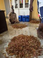 Cameroonian Authorities Arrest 23-Year-Old With Cache of 7.62mm Ammunition Near Nigeria Border