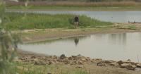 Colorado Parks and Wildlife issues emergency fish salvage order for McKay Lake