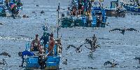 Mysterious Attacks on Ecuadorian Fishers Raise Fears of Expanded US Boat Bombings