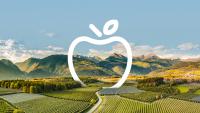 EU apple harvest set to fall below 11M tons: Interpoma takes stock of industry challenges