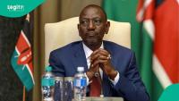 See the 6 important documents foreigners must have before they apply for Kenya visa in 2026