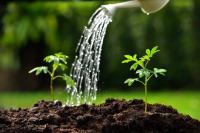 How Small Businesses Can Build a Scalable Customer Acquisition Strategy in 2026