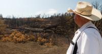 Colorado rancher faces $40,000 recovery cost after Aspen Acres Fire burns cattle grazing land