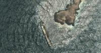Oman says the oil spill from a grounded tanker has reached its coastline