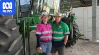 China's rejection of Australian mung beans prompts chemical rethink