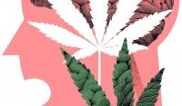 America's marijuana addiction fuels a public-health crisis