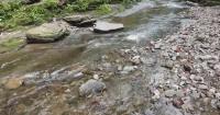 More than half of monitored Pennsylvania waterways showed unsafe E. coli levels last year