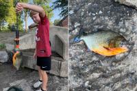 8-year-old boy pulls piranha from Pennsylvania lake, recognizes fish from YouTube