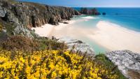 Cornwall officially has one of world's top 10 best beaches - not Kynance or Fistral