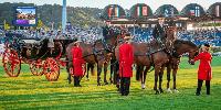 British Royal Mews make appearance at major sporting event alongside Zara Tindall in Germany