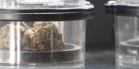 Ruling looming as Saturday deadline threatens to ban many Virginia hemp products
