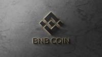 Binance Bitcoin Reserves Hit Six-Month High of 667,500 BTC