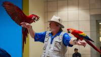 Library to host exotic animal show with ‘Oregon Bird Man’