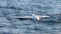Romanian Naval Forces "Ready to Neutralize" Black Sea Hazards