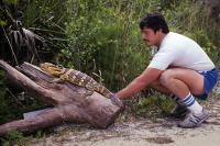 Detroit Zoo Name-dropped in New HBO Docuseries on Exotic Reptile Trade