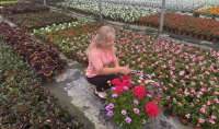 Young farmers are the largest group of beneficiaries of IFAD projects in Moldova