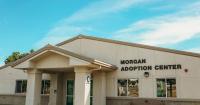 Free pet adoptions in Anderson this Saturday at Haven Humane