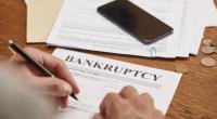 Dutch bankruptcies fall as 266 companies go under in July