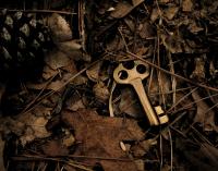 Single Shared Encryption Key Let Anyone Read AI Reasoning Buried In Published Logs